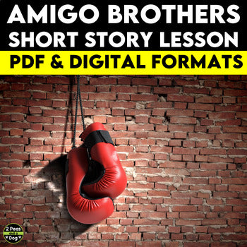 Amigo Brothers Short Story Lesson
