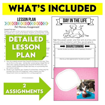Pet Memes Narrative Writing Assignment