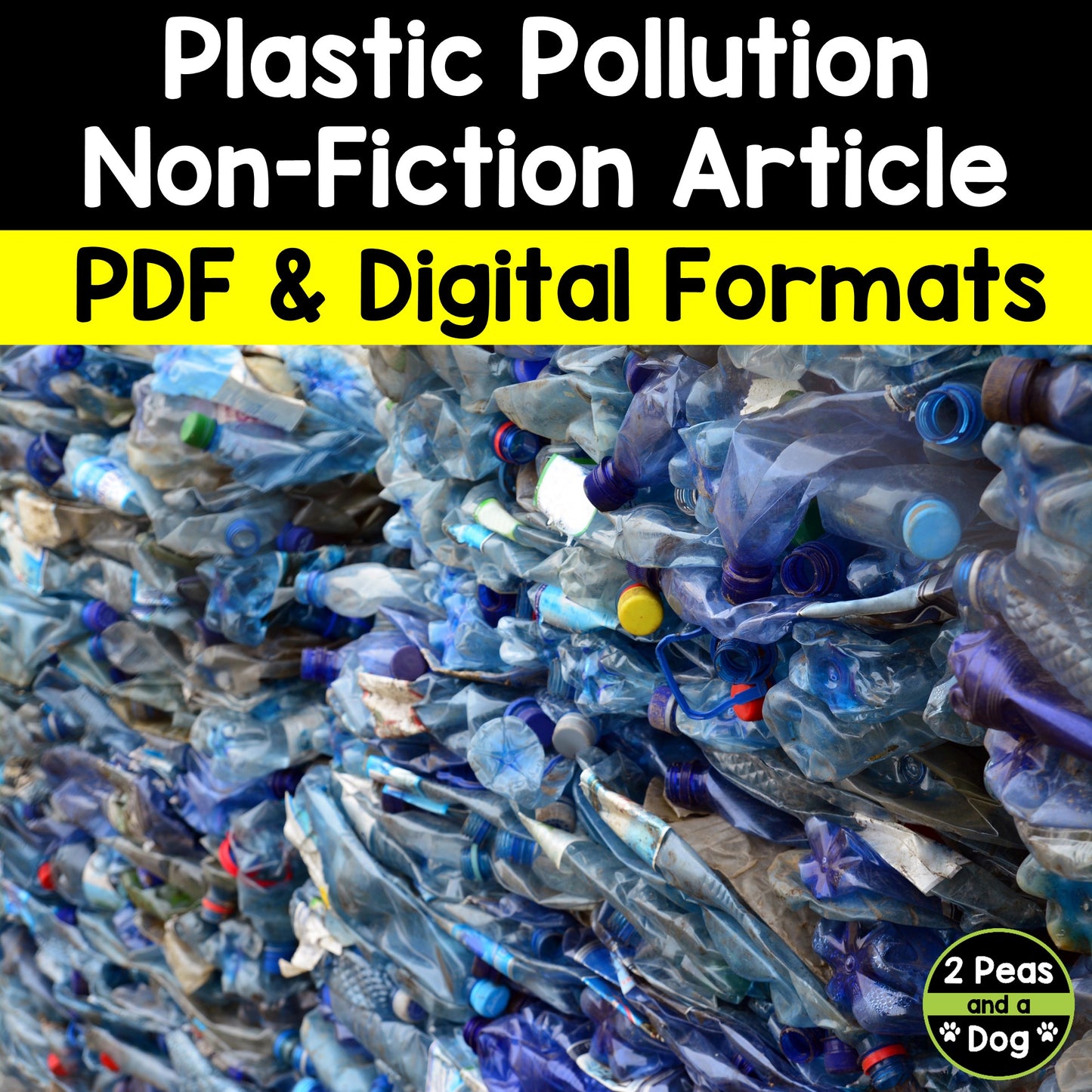 Plastic Pollution Non-Fiction Article