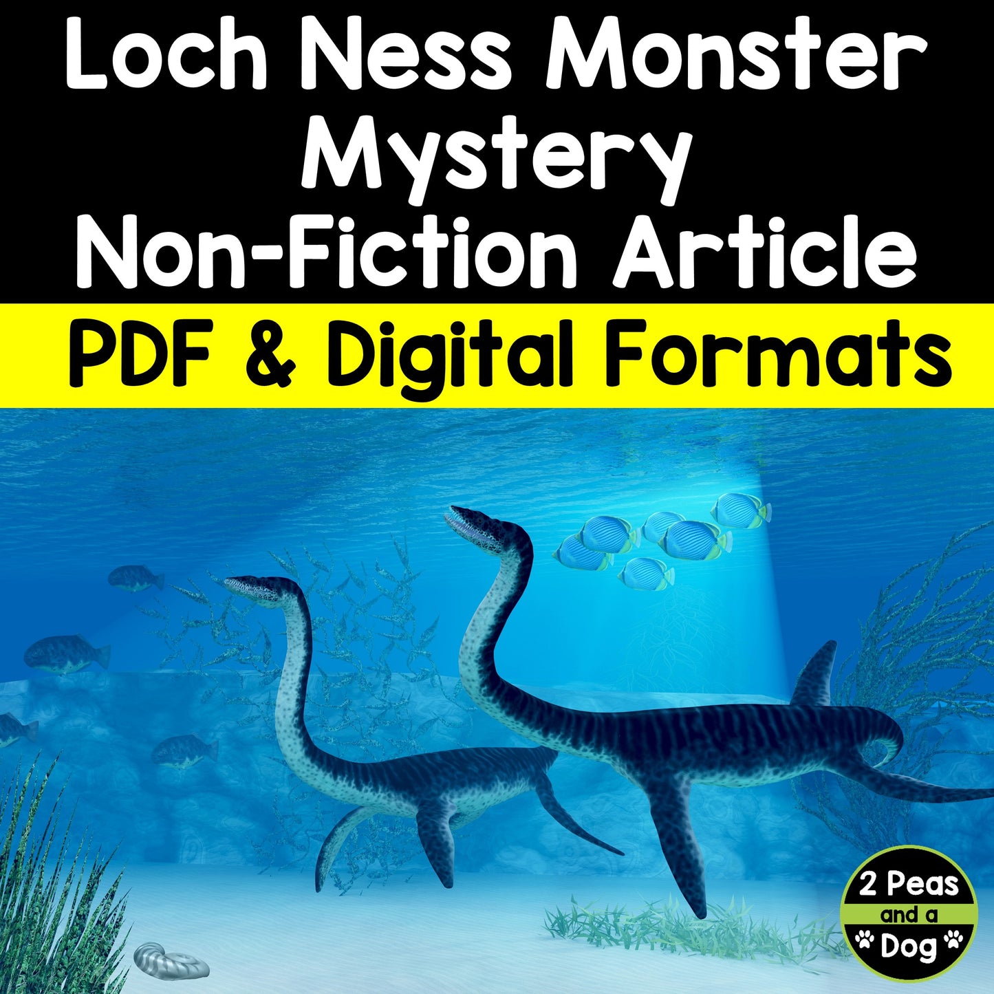 The Mystery of the Loch Ness Monster Non-Fiction Article