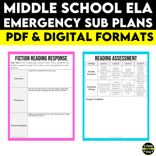 Middle School ELA Emergency Sub Plans