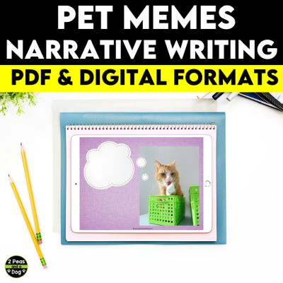Pet Memes Narrative Writing Assignment