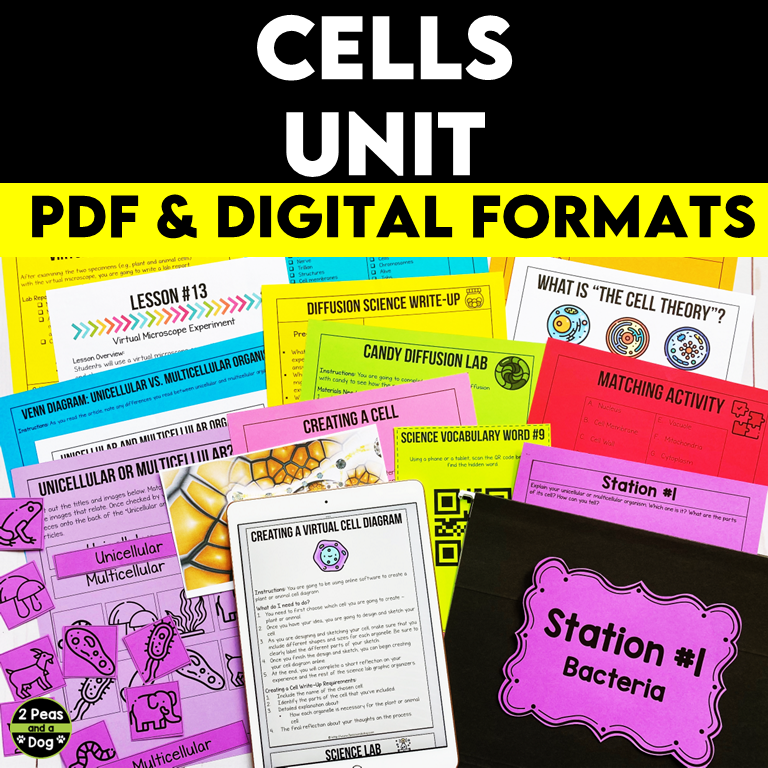 Grade 8 Science Cells Unit