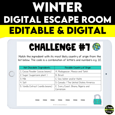Winter Digital Escape Room