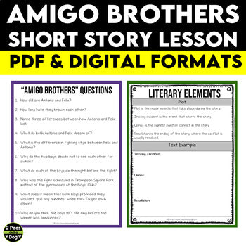 Amigo Brothers Short Story Lesson