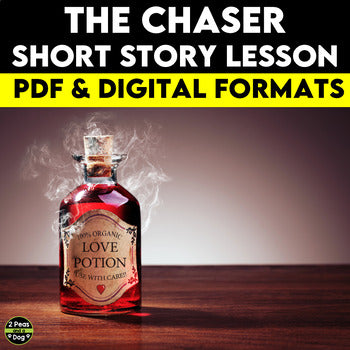 The Chaser Short Story Lesson