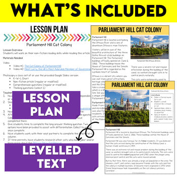 Canadian History Sub Plans - Parliament Hill Cat Colony