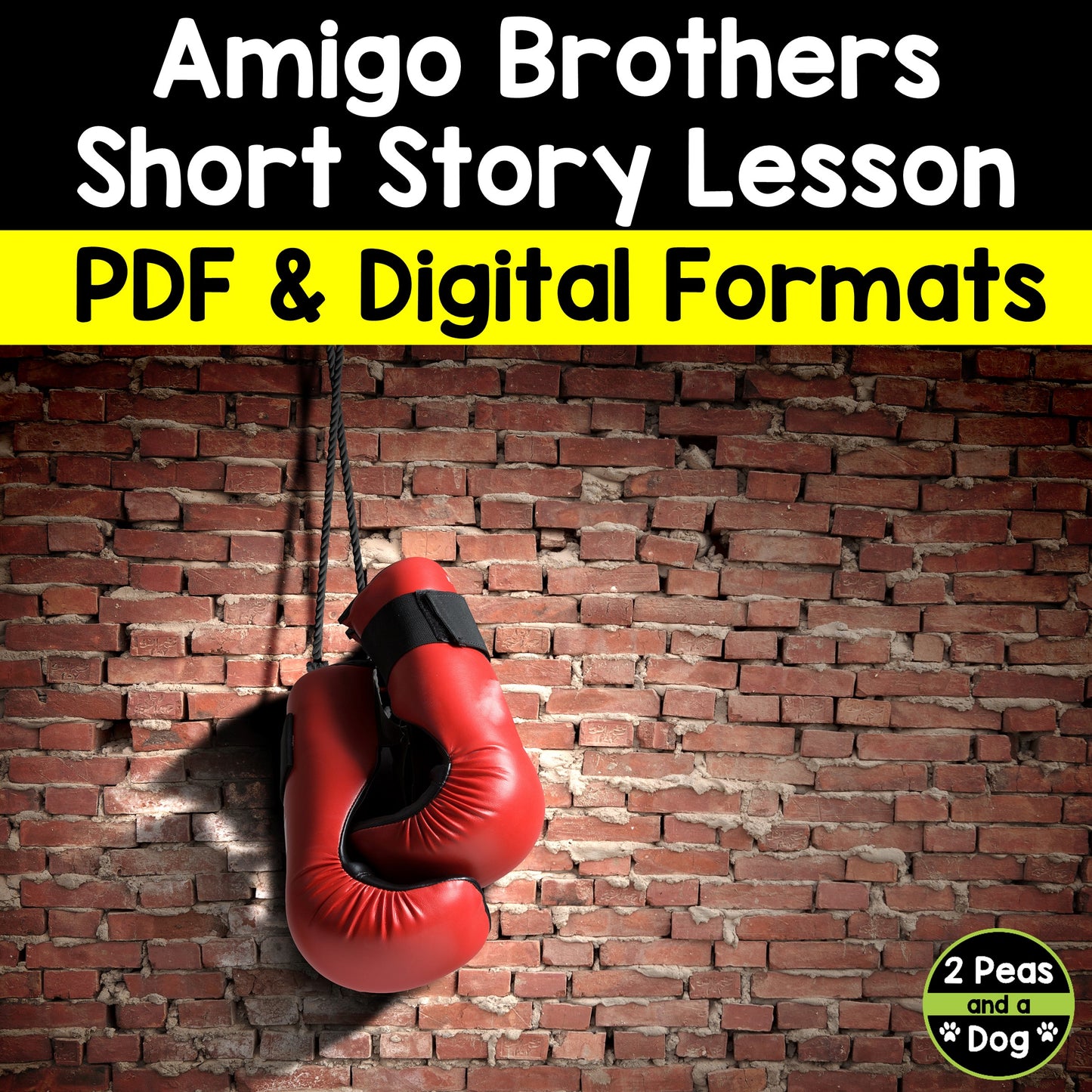 Amigo Brothers Short Story Lesson