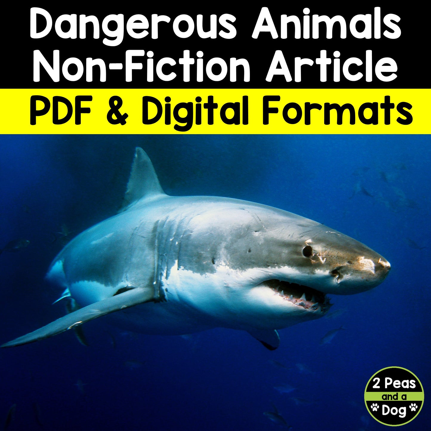 Dangerous North American Animals Non-Fiction Article