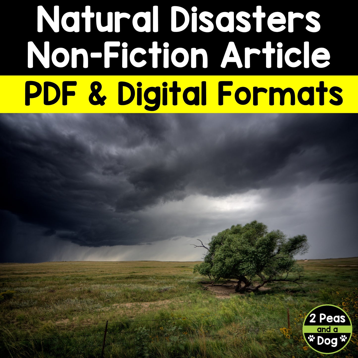 Natural Disasters Non-Fiction Article