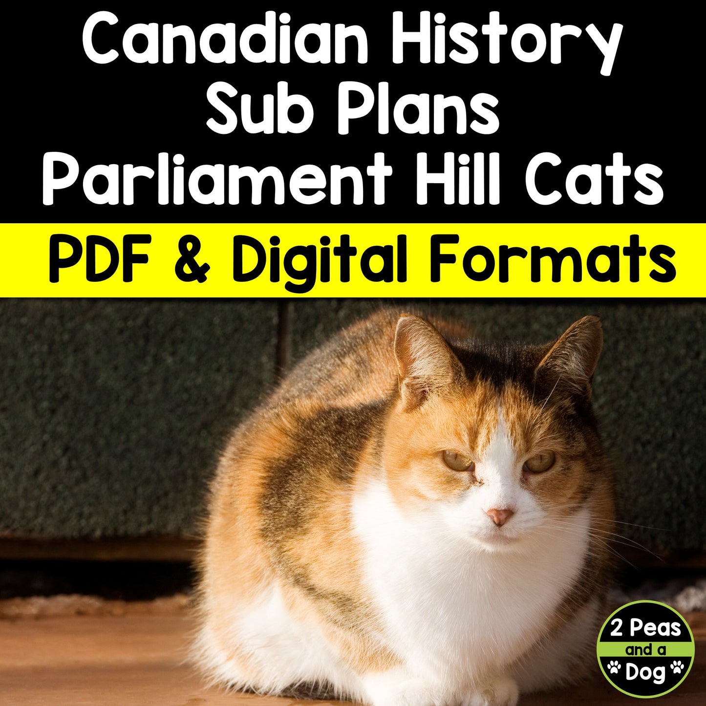 Canadian History Sub Plans - Parliament Hill Cat Colony