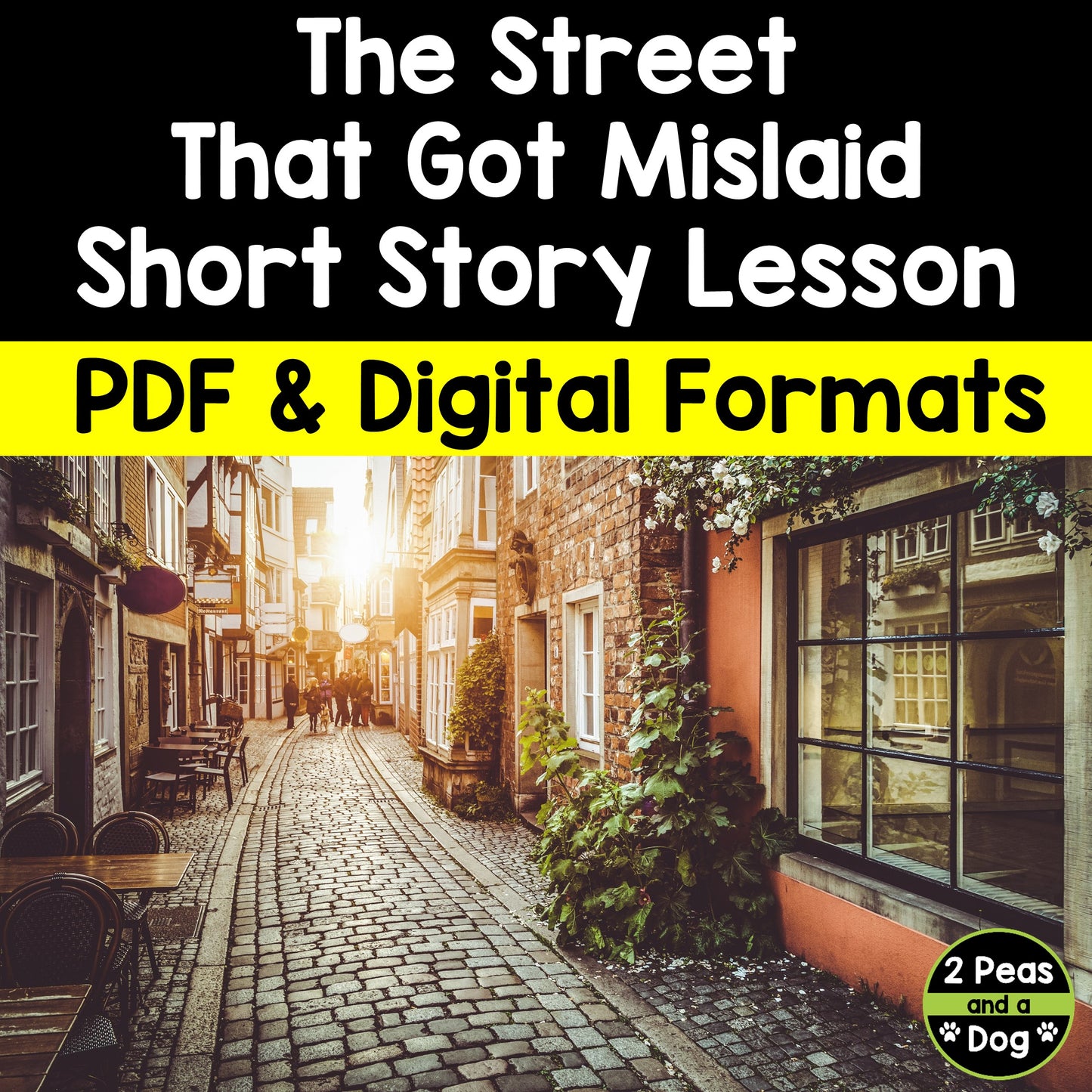The Street That Got Mislaid Short Story Lesson