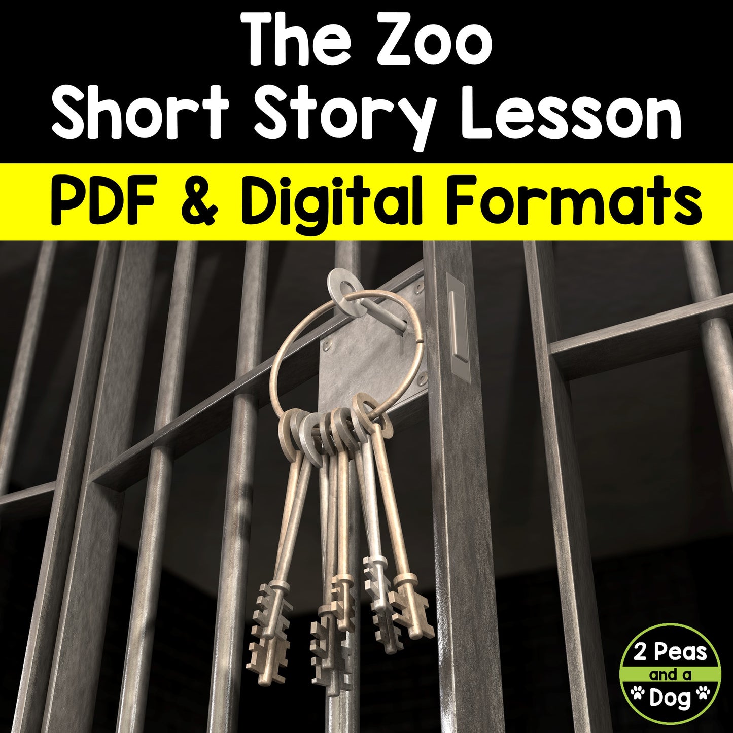 The Zoo Short Story Lesson